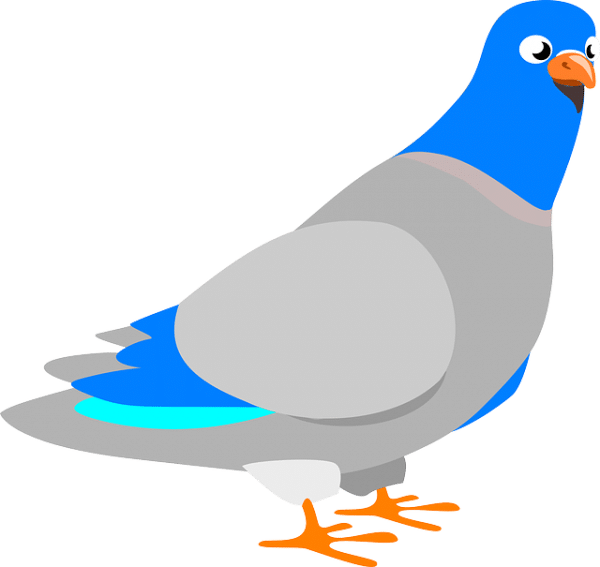 Google pigeon