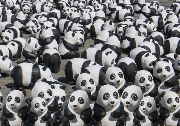 pénalité google panda