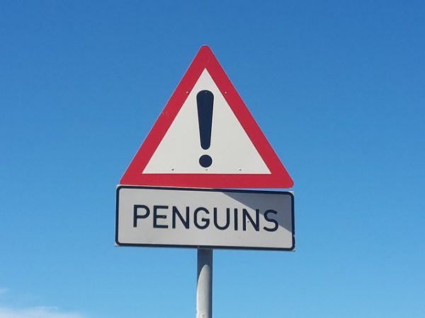 googlepenguinalgo2016