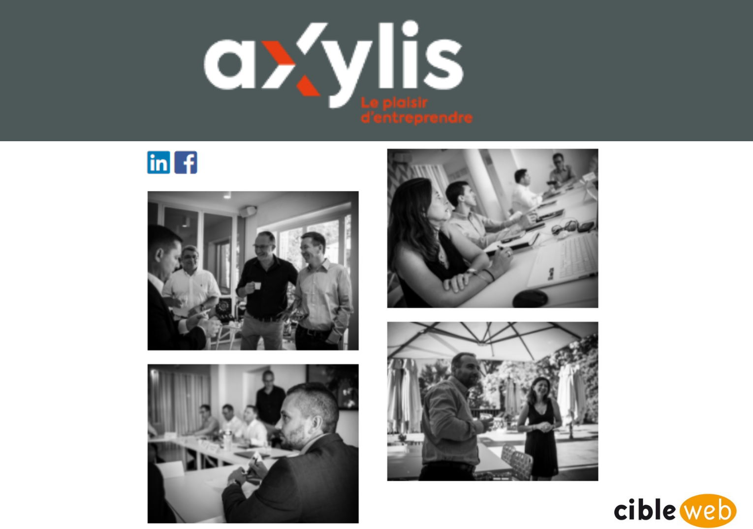 Axylis conseil