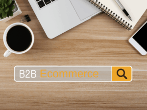 le b2b ecommerce