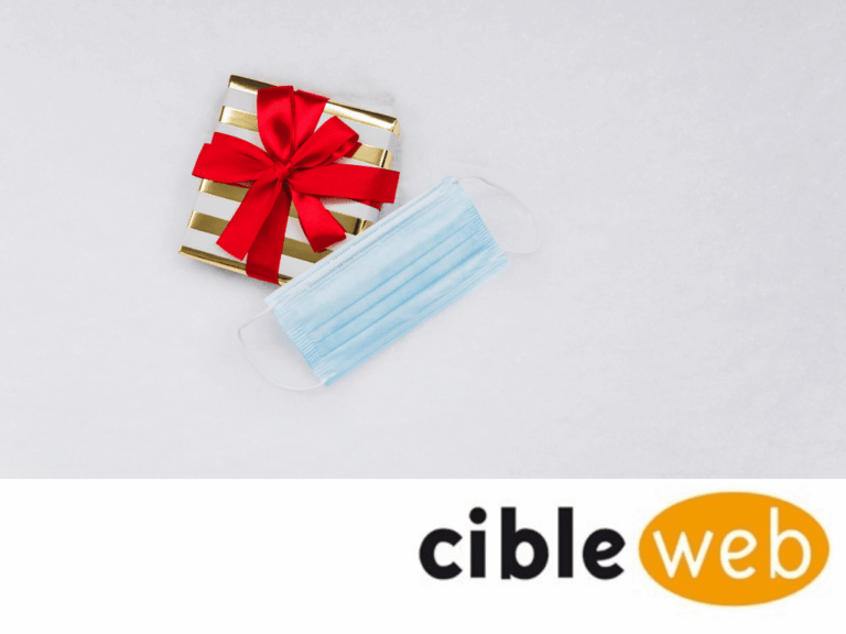 Article les fêtes de fin d'année