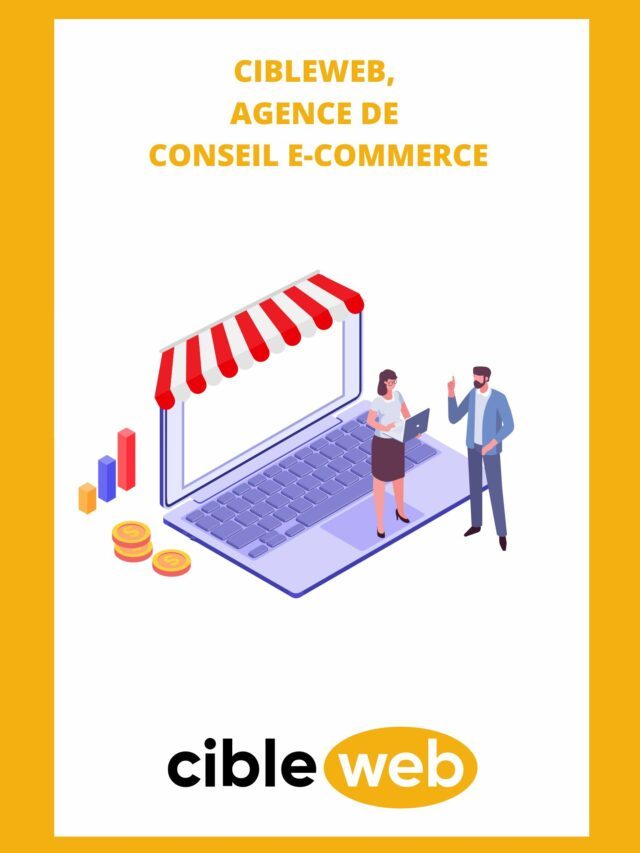 Agence-de-conseil-e-commerce