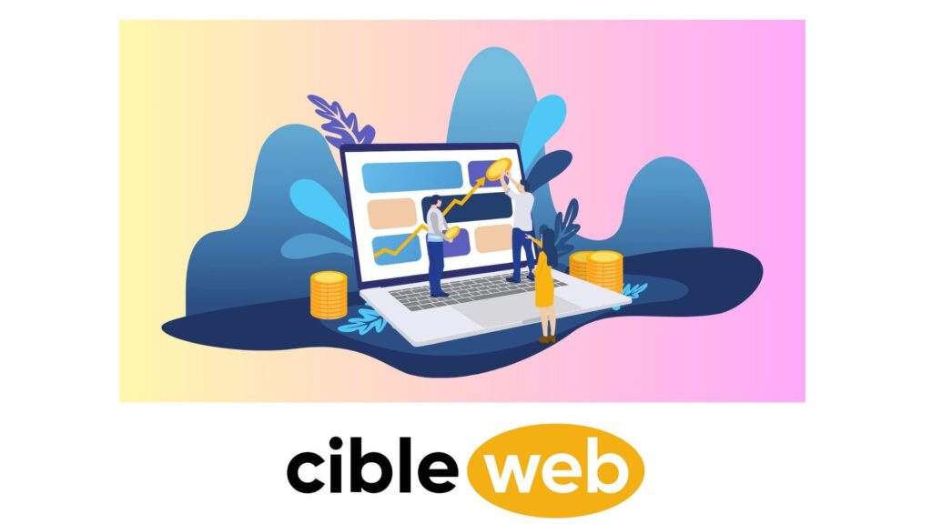 e-commerce-francais-T3-2024