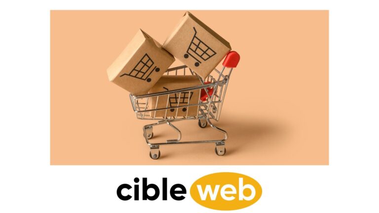 e-commerce-français