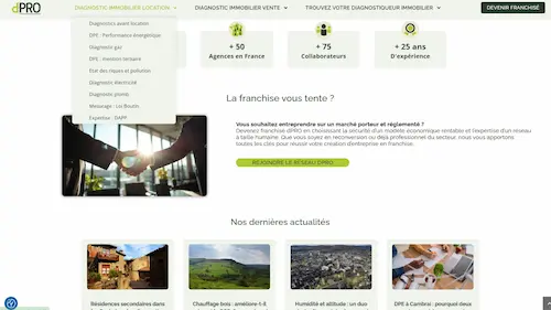 d-pro site wordpress